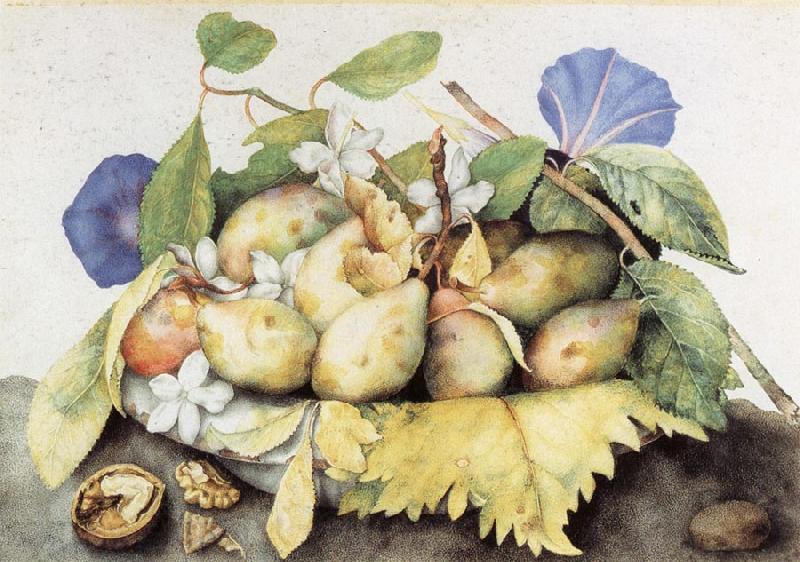 Giovanna Garzoni Plate of Plums with Jasmine and Nuts Spain oil painting art